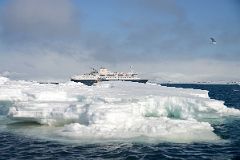 20 We Head Back To The Quark Expeditions Antarctica Cruise Ship From The Zodiac Near Aitcho Barrientos Island In South Shetland Islands